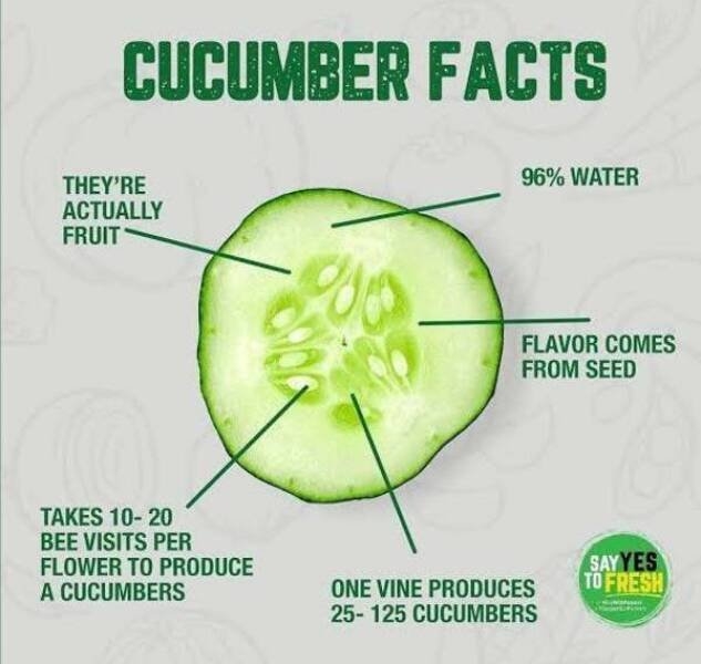 interestingdata21_008