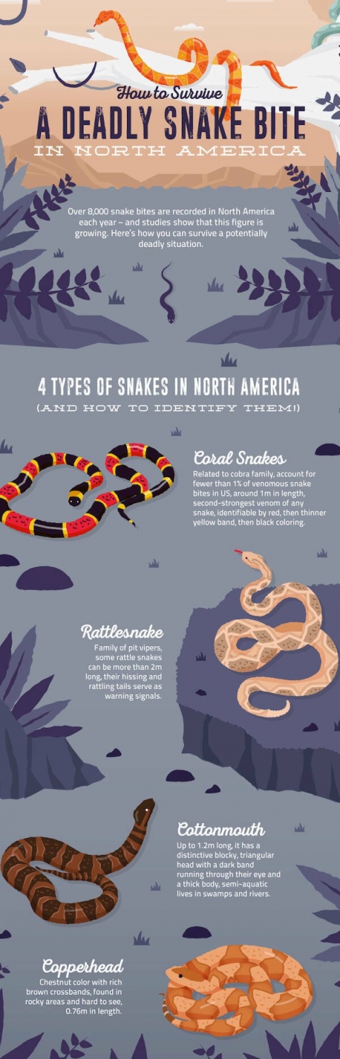 interestingdata21_023