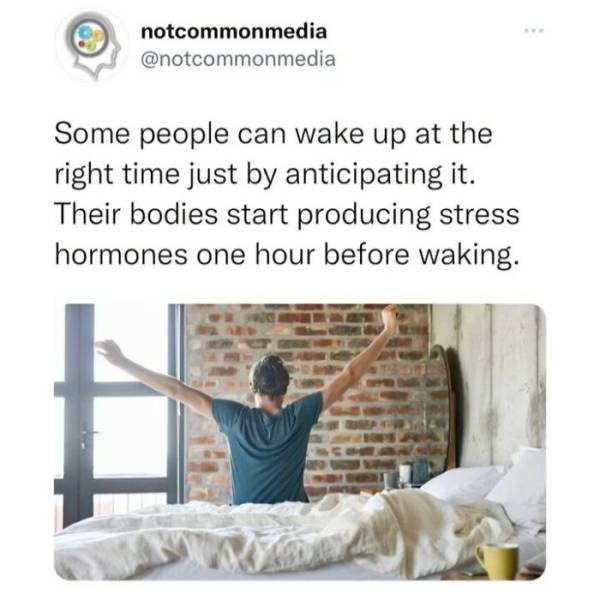 interestingfacts22_004