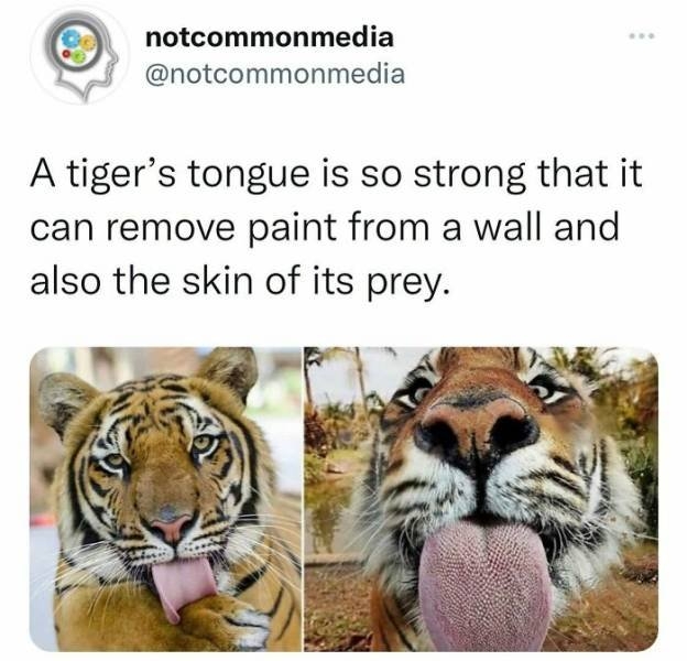 interestingfacts22_008