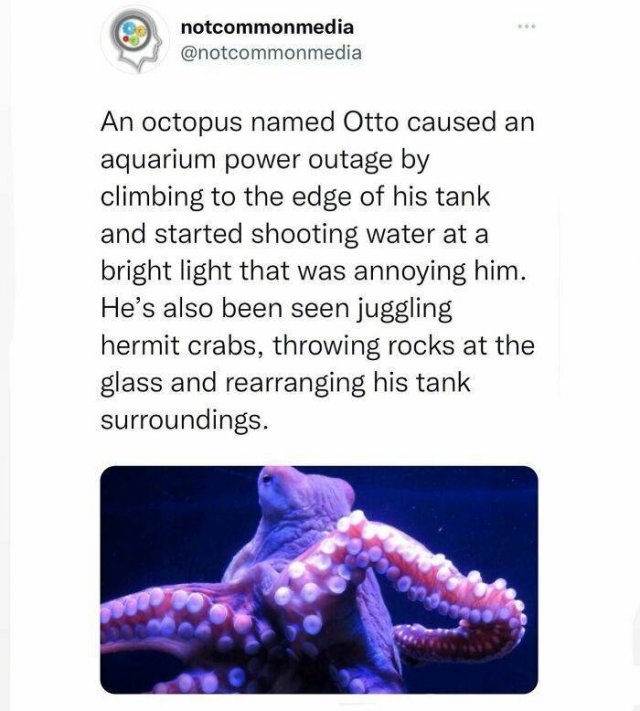 interestingfacts22_009