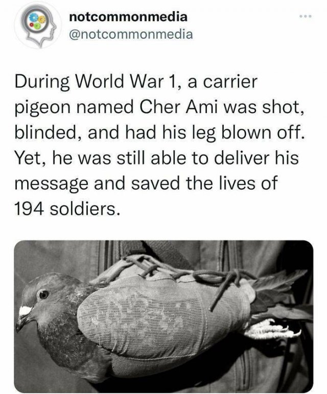 interestingfacts22_011