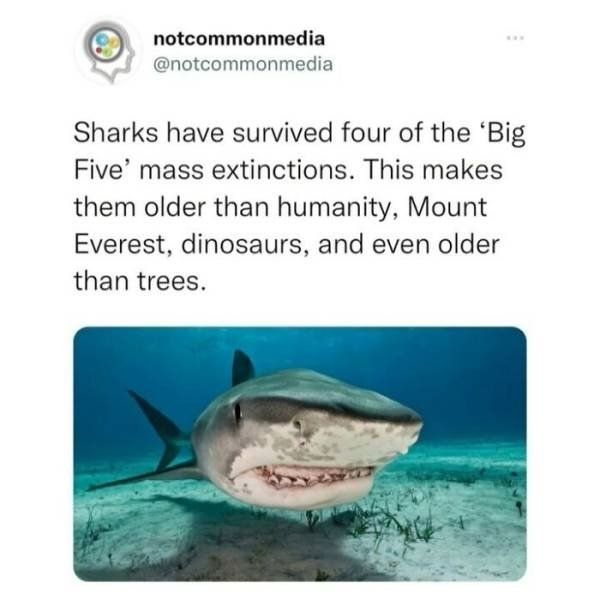 interestingfacts22_019