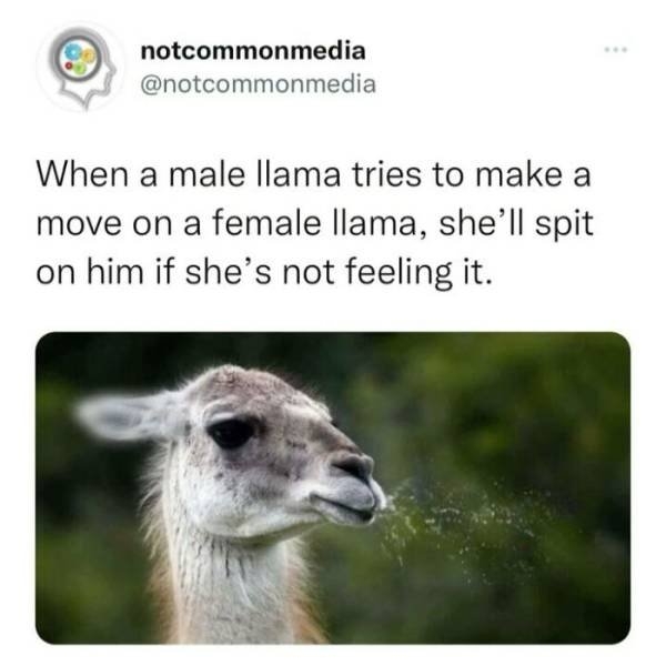 interestingfacts22_020