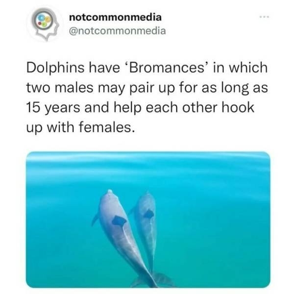 interestingfacts22_022