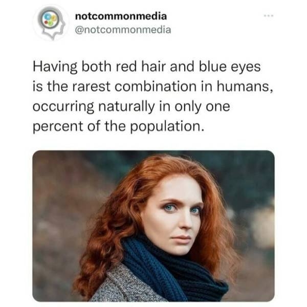 interestingfacts22_032