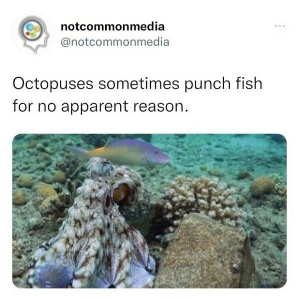 interestingfacts22_033