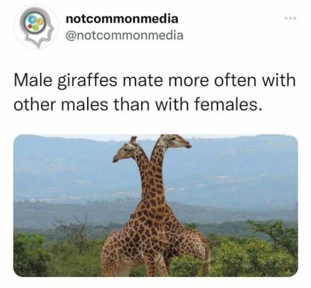 interestingfacts22_034