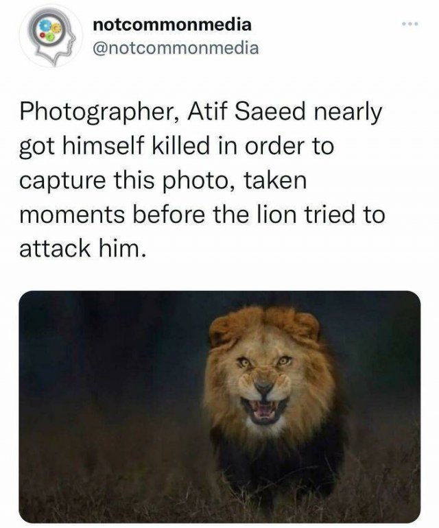 interestingfacts22_035