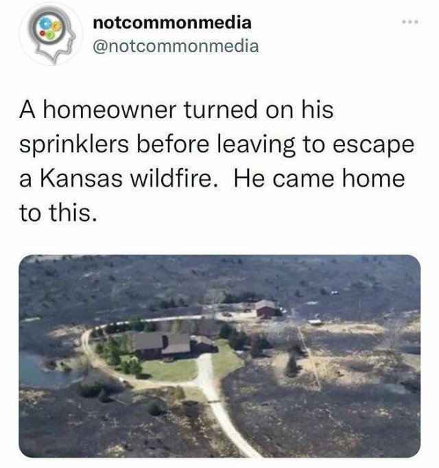 interestingfacts22_036