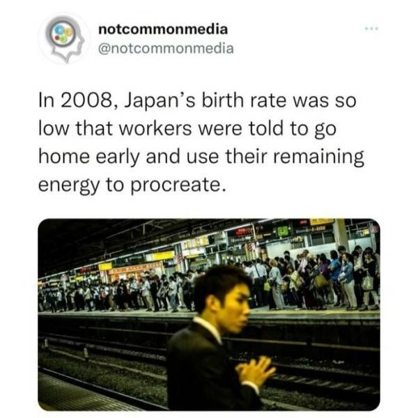 interestingfacts22_038