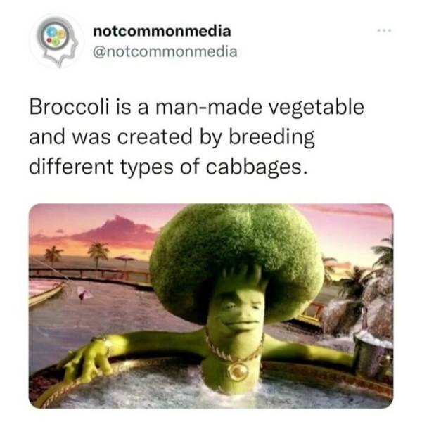 interestingfacts23_001