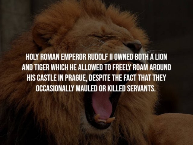 interestingfacts23_008