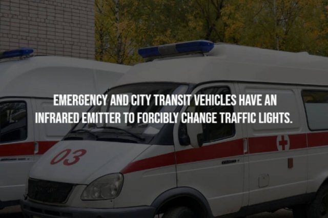 interestingfacts23_009