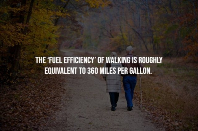 interestingfacts23_012