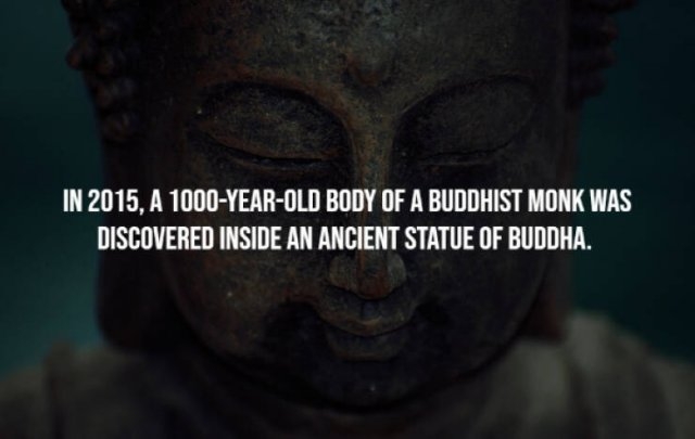 interestingfacts23_013