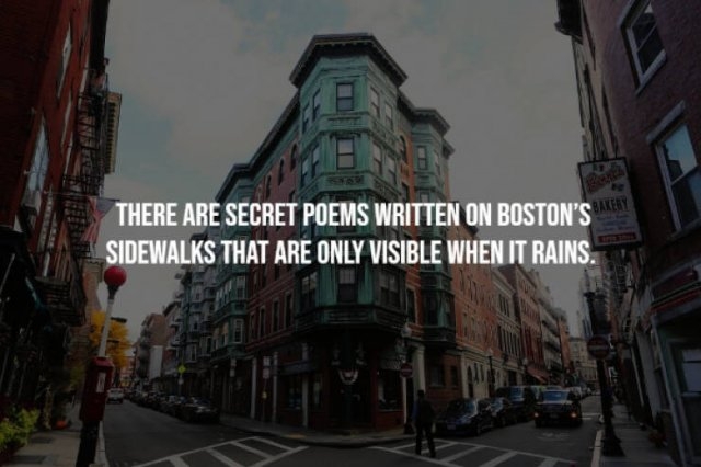 interestingfacts23_014