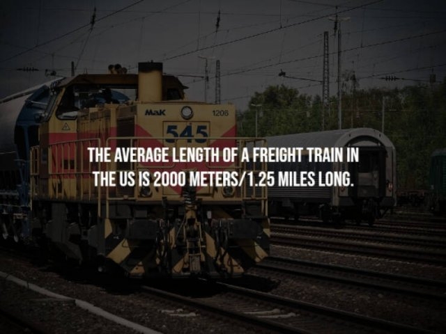 interestingfacts23_016