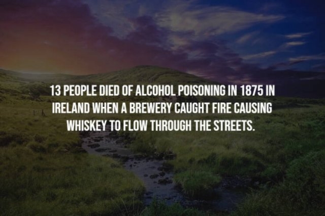 interestingfacts23_017