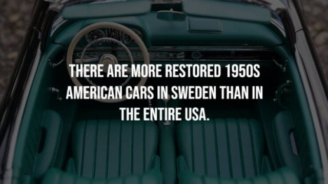 interestingfacts23_018