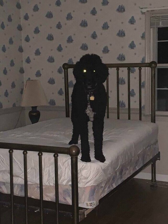 interiordesigns6_029