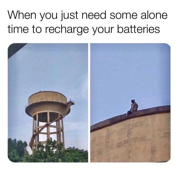 introvertmemes4_018