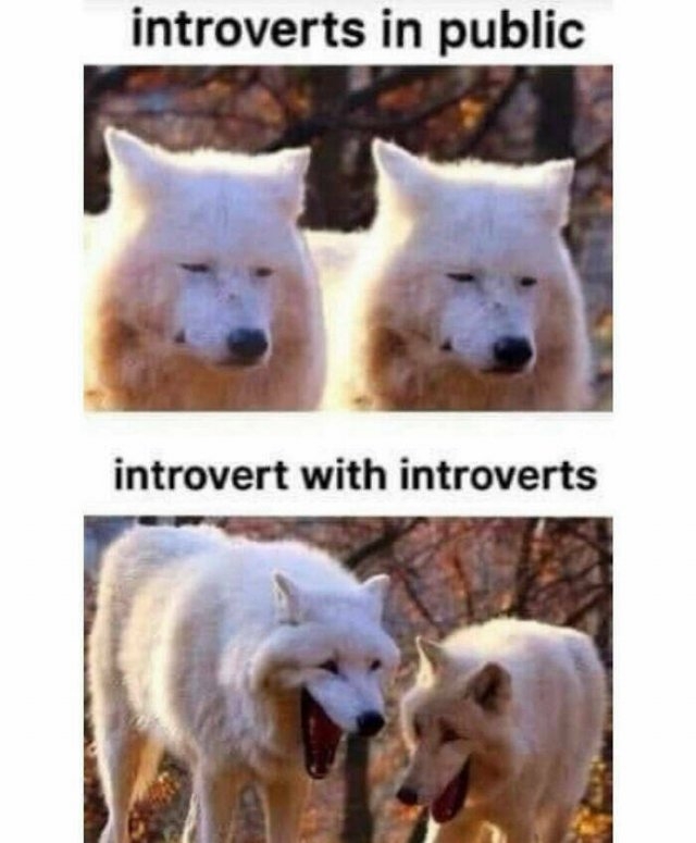 introvertmemes4_028