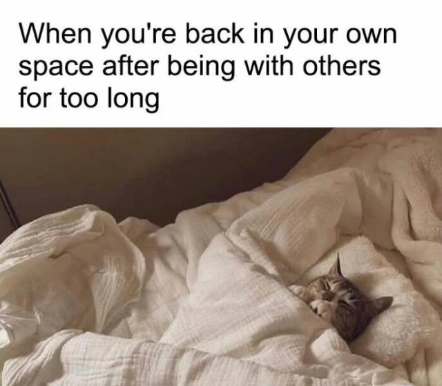 introvertmemes4_030