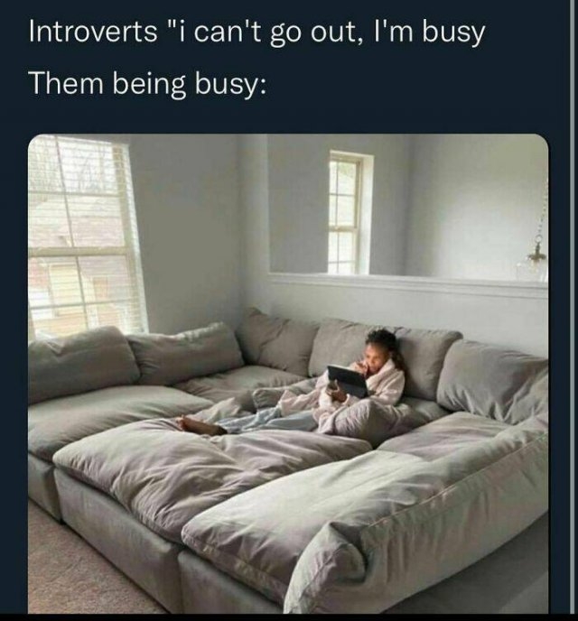 introvertmemes4_042