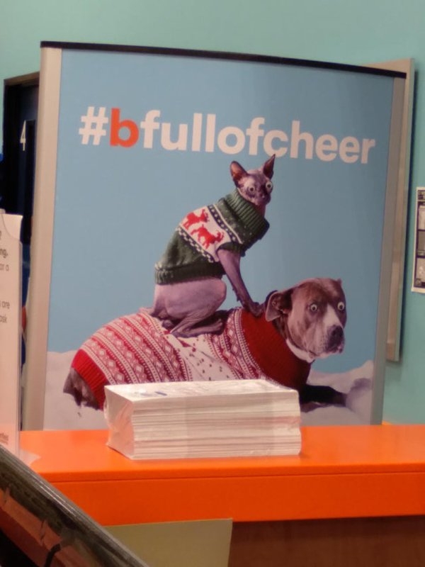 justaddgooglyeyes_016