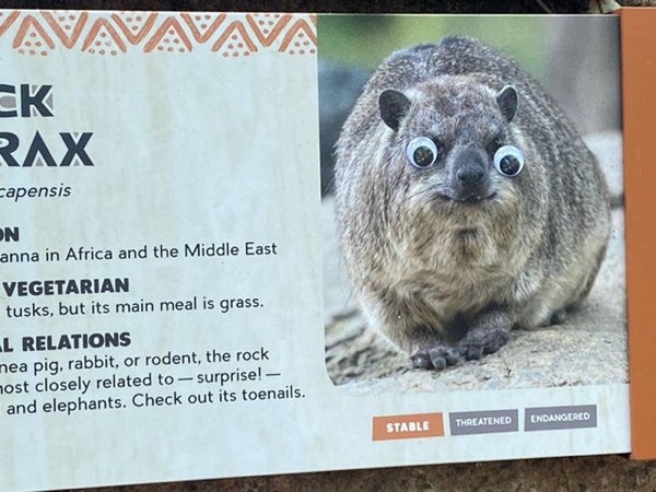 justaddgooglyeyes_022