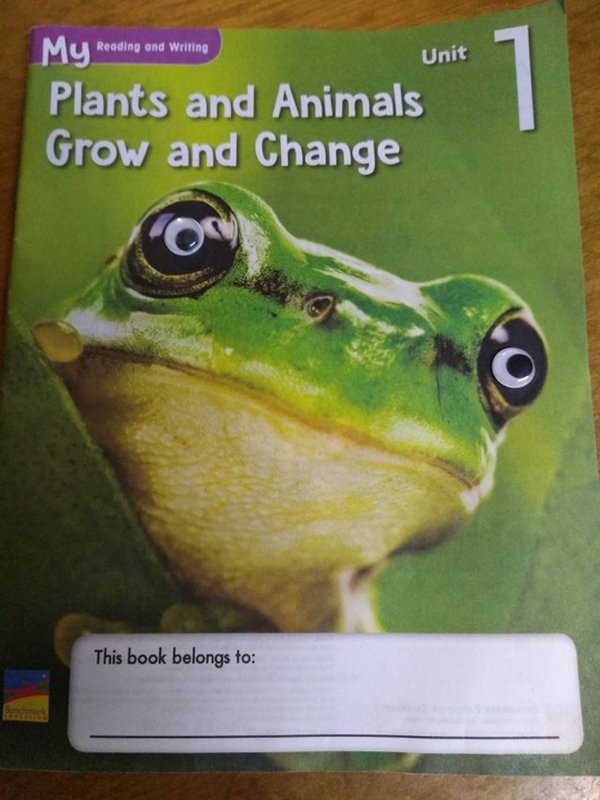 justaddgooglyeyes_035