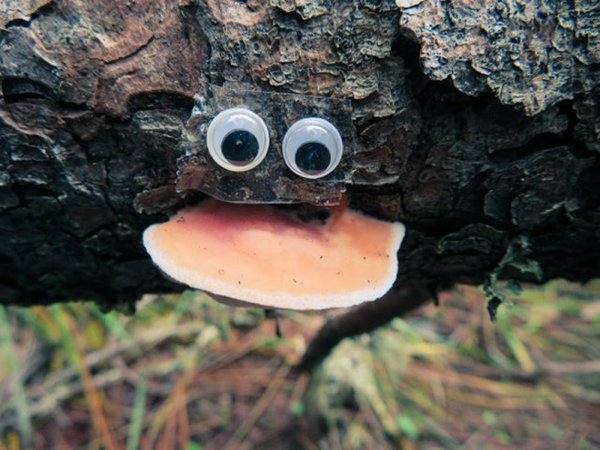 justaddgooglyeyes_036