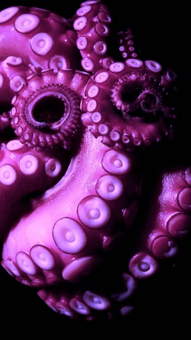 mobilewallpapers2_006