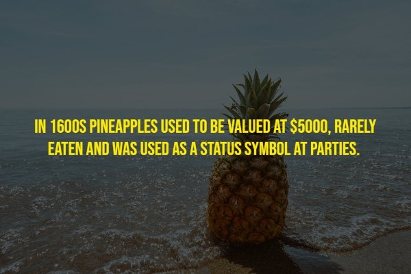 moviefacts10_007