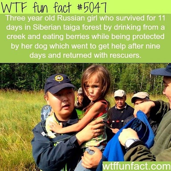 moviefacts11_016
