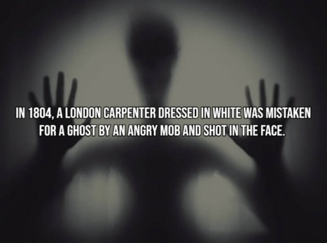 moviefacts15_003