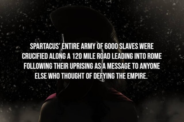 moviefacts15_007