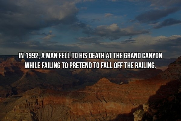 moviefacts17_007