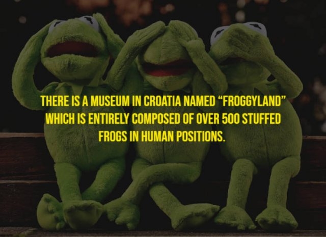 moviefacts8_013