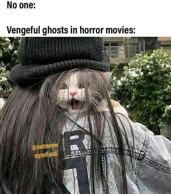 moviememes_024