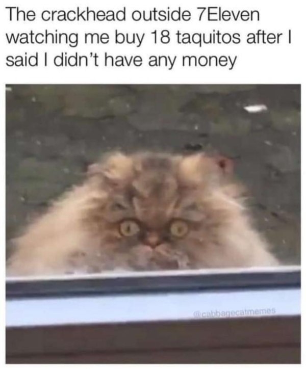 moviememes_037