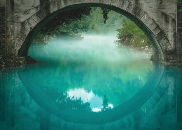 naturephotos7_009