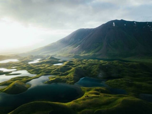 naturephotos7_010