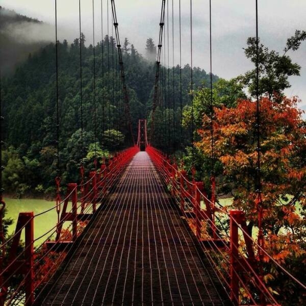 naturephotos7_021