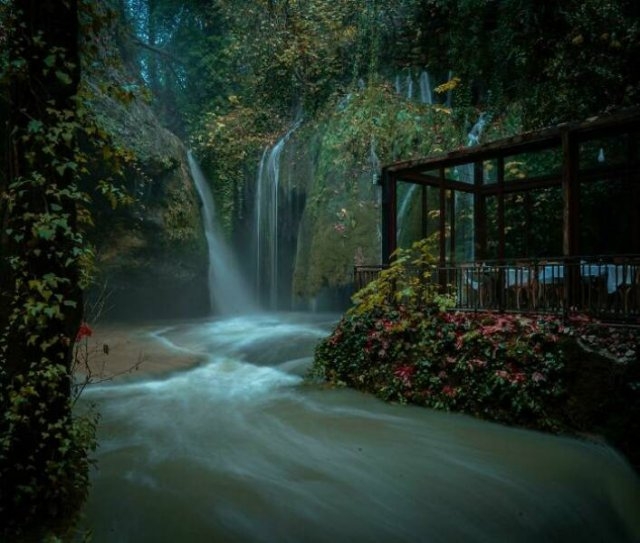 naturephotos7_023