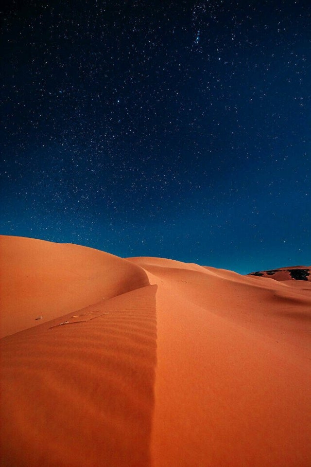 naturephotos7_024