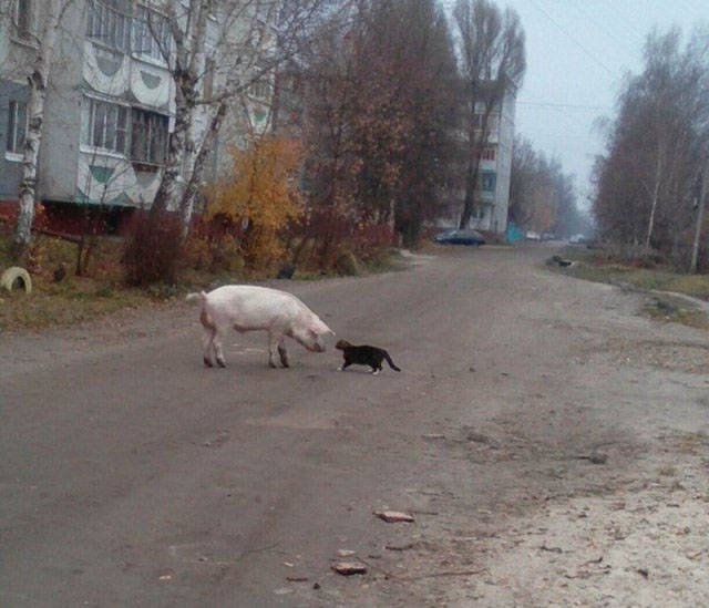 onlyinrussia2_028