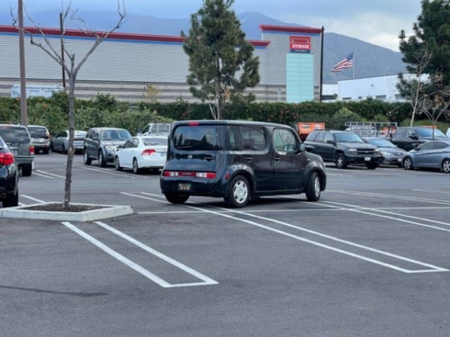 parkingfails_031