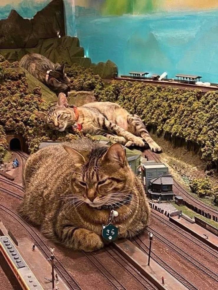 randompics561_068